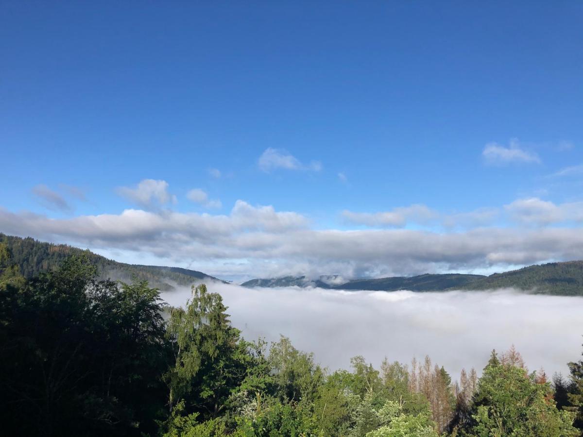 לה טולי Le Gite Cozy De Bouvacote Avec Vue Panoramique Et Sauna מראה חיצוני תמונה