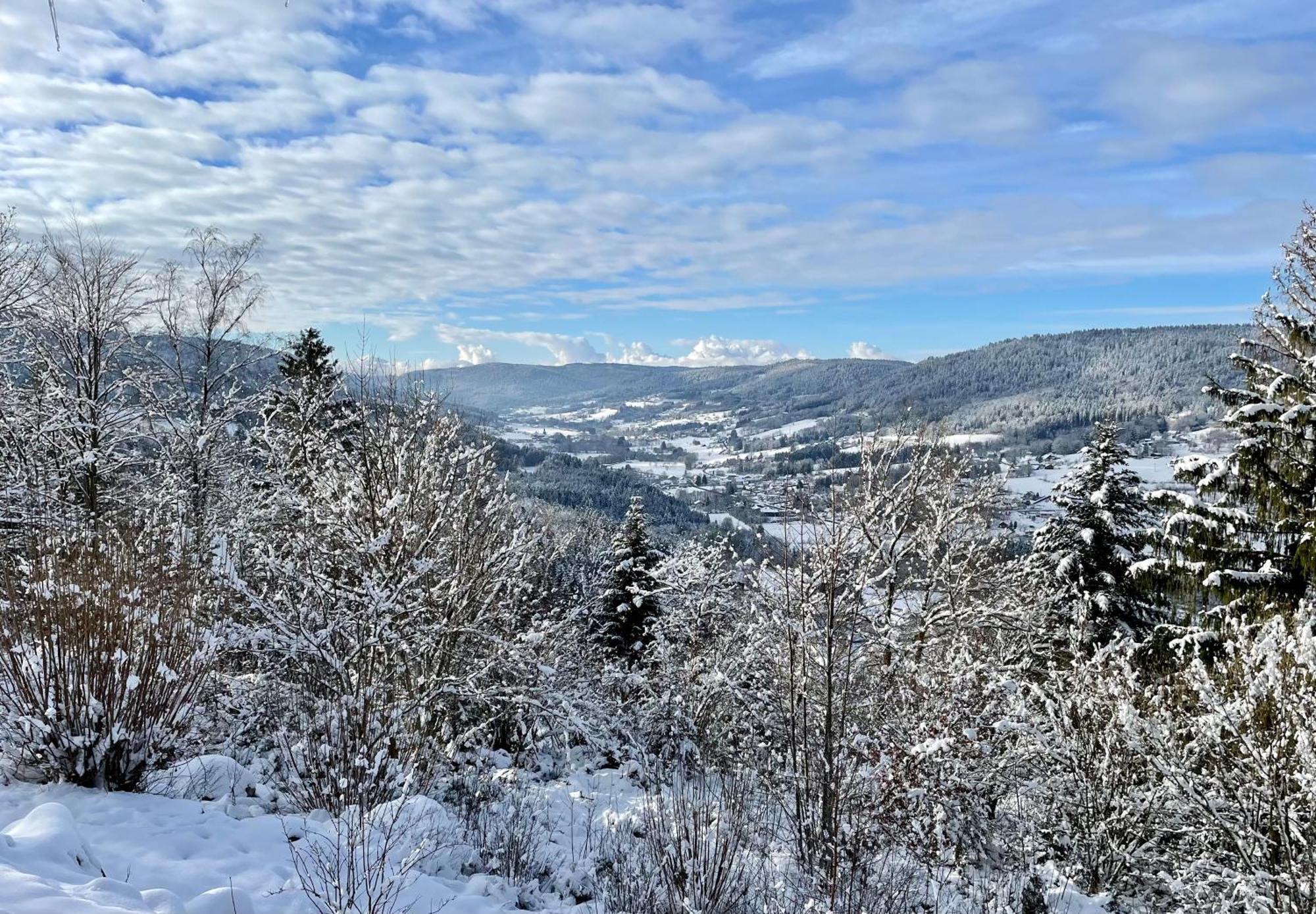 לה טולי Le Gite Cozy De Bouvacote Avec Vue Panoramique Et Sauna מראה חיצוני תמונה