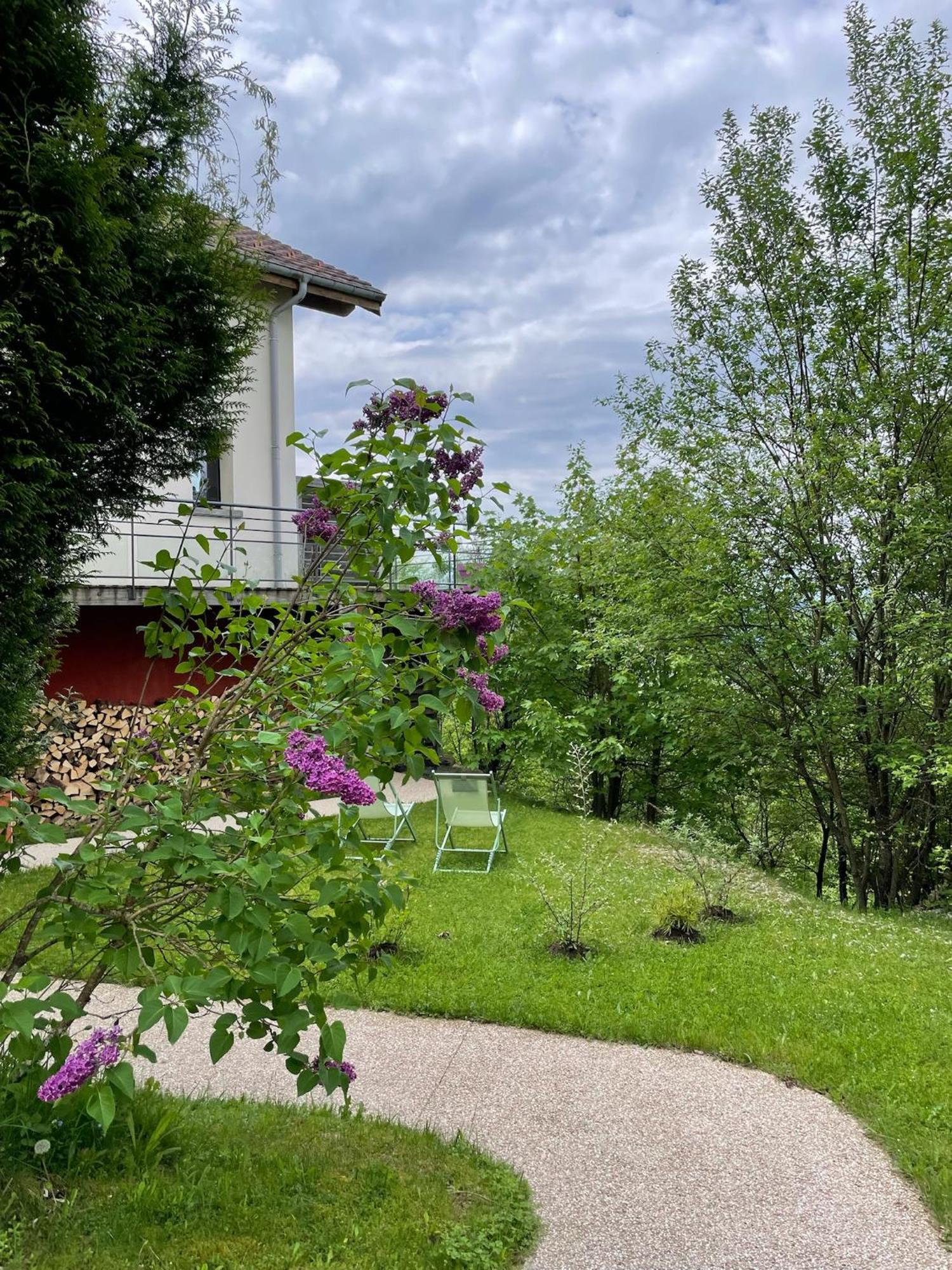 לה טולי Le Gite Cozy De Bouvacote Avec Vue Panoramique Et Sauna מראה חיצוני תמונה